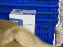 -栾川竹海野生动物园