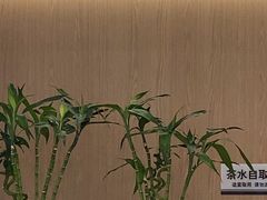 -泰康拜博口腔(松江印象城臻尔店)