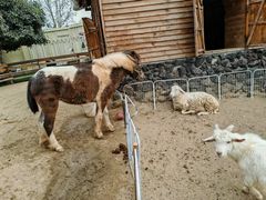 -HERRE·FARM 赫尔露营农场·团建聚会包场