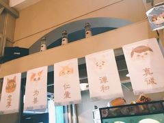 -猫咪博物馆(顶澳仔猫街店)