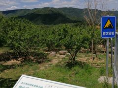 -鬼笑石后山停车场