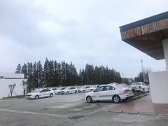 -光明驾校·学车·陪驾(杨浦店)