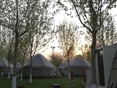 -九十九顶毡房(阜石路店)