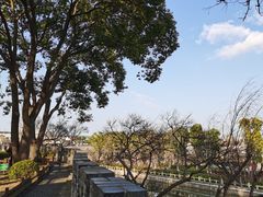 -川沙古镇-停车场