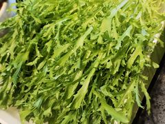 -川西坝子火锅(金沙1.0直营店)