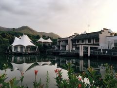 -帐篷客·溪龙茶谷度假酒店