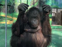 -泉州海丝野生动物世界