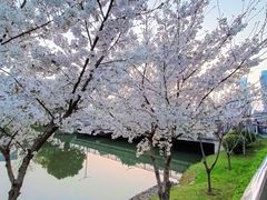 -龙湖南京河西天街
