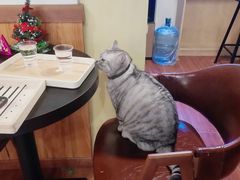 -H立方实景剧情密室(天河旗舰店)