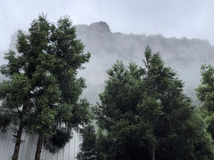 -重庆睡佛山森林公园