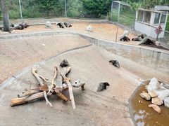 -西霞口神雕山野生动物世界