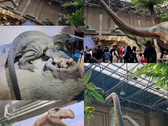 -国家自然博物馆