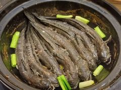 -半岛宴·湛江精品菜(蛇口广场店)