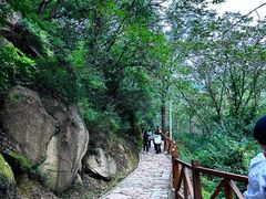 -大岭沟猕猴桃谷风景区