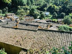 -杨家堂村