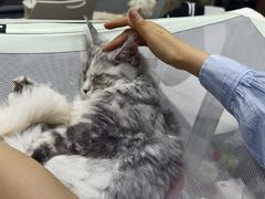 -重庆国际会议展览中心