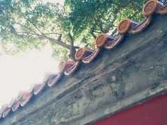 -景山公园