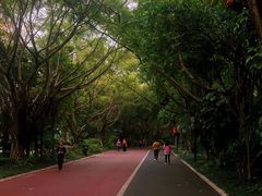 -南宁南湖公园