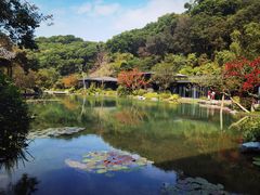 -云溪植物园