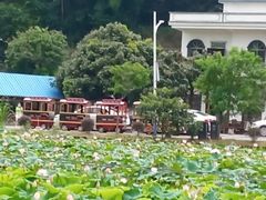 -红山村
