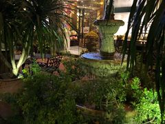 -more than meow吴止猫主题餐厅(承德 中船汇店)