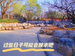 -大望京公园