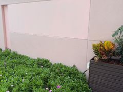 -好利来(清华南门店)