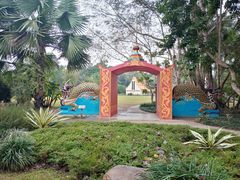 -中国科学院西双版纳热带植物园