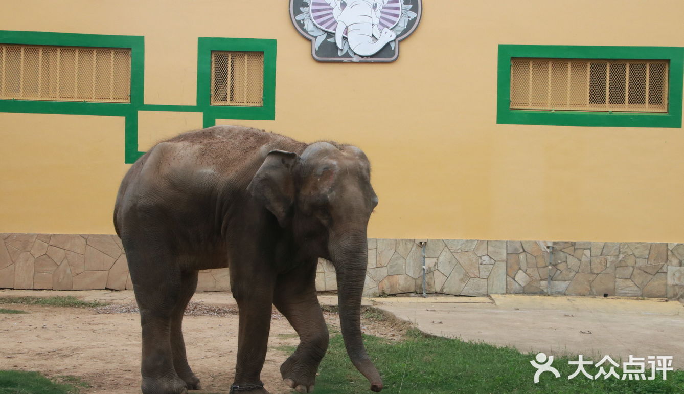 開啟了無錫動物園新的歷史篇章