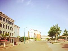 -南开大学滨海学院