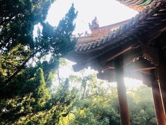 -普陀山风景名胜区-法雨禅寺
