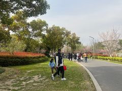 -昆山城市生态森林公园