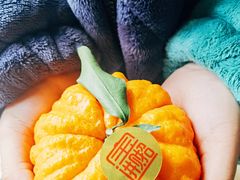 -南京众彩农副产品配送有限公司