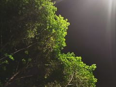 -钢管厂五区小郡肝串串香(南山店)