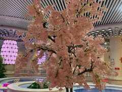 -水晶之星洗浴温泉汗蒸