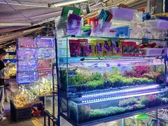 -青石桥花鸟鱼虫市场(叠翠城店)