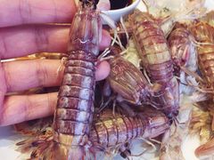 皮皮虾清蒸-赶海部落海鲜城(海阳路店)