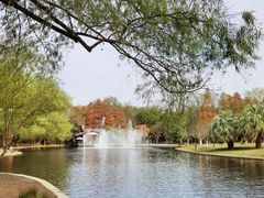 -上海共青森林公园