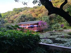 -云溪植物园