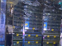 -K歌之王量贩式KTV(洪楼店)