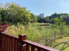 -福田红树林生态公园