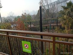 -武汉动物园