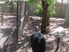 -费瑟代尔野生动物园