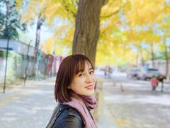 -三里屯东五街银杏大道