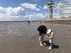 -碧海金沙