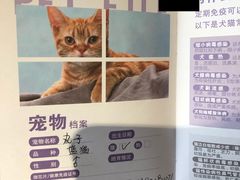 -瑞派福兴宠物医院犬猫全科·骨科·中西医结合(河东店)