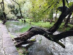 -黑龙潭公园