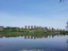 -前关湿地公园