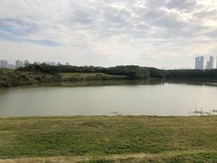 -盘龙城国家考古遗址公园