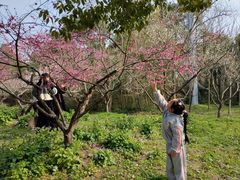 -上海海湾国家森林公园